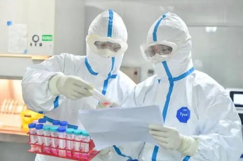 網(wǎng)紅項(xiàng)目驚魂 昆明女子玩溜索突墜，頭先著地引深思