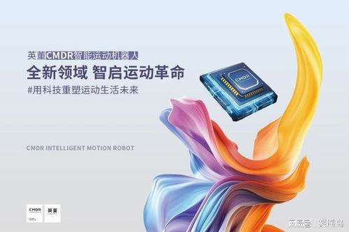 動(dòng)靜無痕，心隨律動(dòng) 英董智能運(yùn)動(dòng)如何攜手卷心科技重塑生命能量場(chǎng)